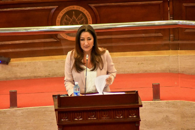 Ministerio de Vivienda ha invertido $1,295 millones en un año a favor de las familias salvadoreñas ministerio-de-vivienda-ha-invertido-1295-millones-en-un-ano-a-favor-de-las-familias-salvadorenas